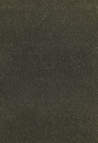 FSchumacher Fabric 64893 San Carlo Mohair Velvet Balsam