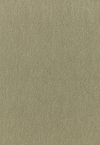 FSchumacher Fabric 64931 Palermo Mohair Velvet Lichen