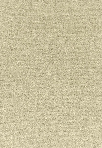 FSchumacher Fabric 64932 Palermo Mohair Velvet Eau De Nil