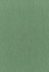 FSchumacher Fabric 64933 Palermo Mohair Velvet Vert