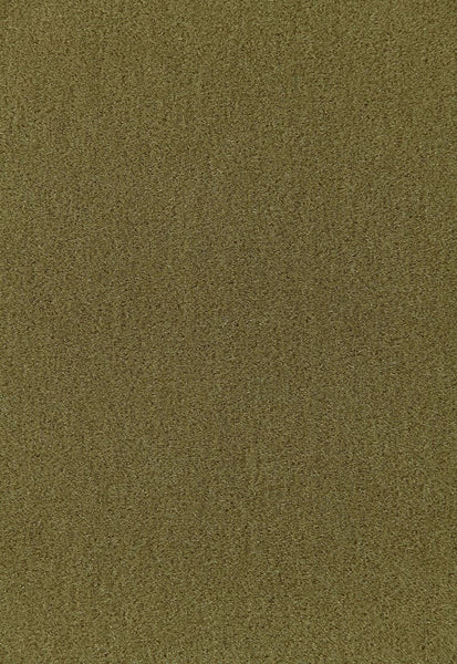 FSchumacher Fabric 64938 Palermo Mohair Velvet Olive