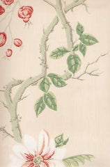 Cole & Son Wallpaper 65/1005.CS The India Paper Off-Whi