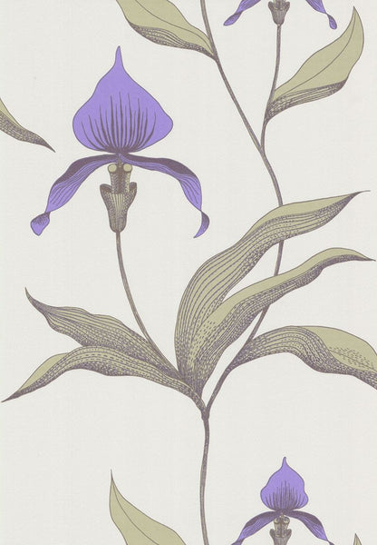 Cole & Son Wallpaper 66/4024.CS Orchid White/M