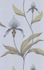 Cole & Son Wallpaper 66/4026.CS Orchid Blue Gr