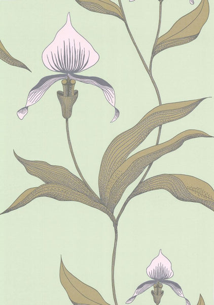 Cole & Son Wallpaper 66/4028.CS Orchid Pale Gr
