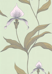 Cole & Son Wallpaper 66/4028.CS Orchid Pale Gr