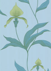 Cole & Son Wallpaper 66/4029.CS Orchid Turq/Grn