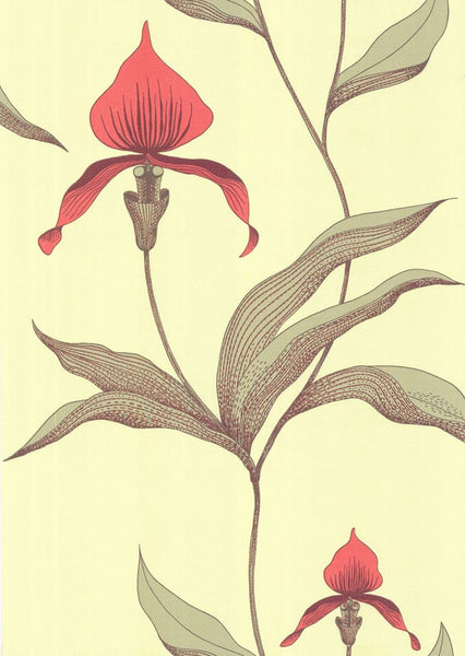 Cole & Son Wallpaper 66/4033.CS Orchid Lime/Or