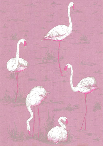 Cole & Son Wallpaper 66/6043.CS Flamingos Mauve