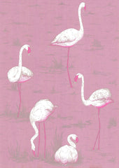 Cole & Son Wallpaper 66/6043.CS Flamingos Mauve