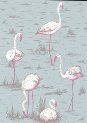 Cole & Son Wallpaper 66/6044.CS Flamingoes Oale Bl