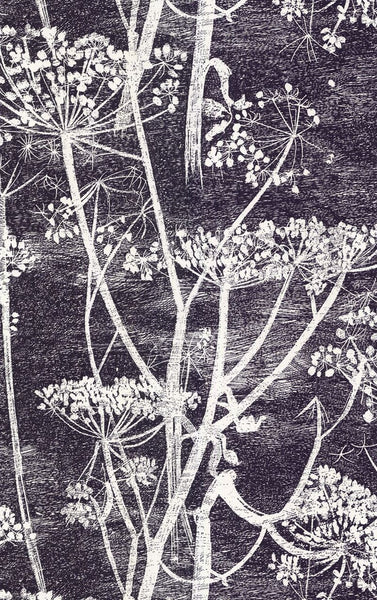 Cole & Son Wallpaper 66/7046.CS Cow Parsley White/Blk