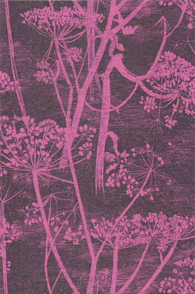 Cole & Son Wallpaper 66/7047.CS Cow Parsley Pink/Bl