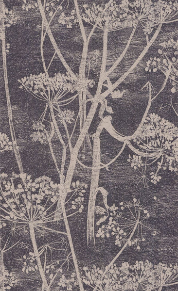 Cole & Son Wallpaper 66/7048.CS Cow Parsley Taupe/B