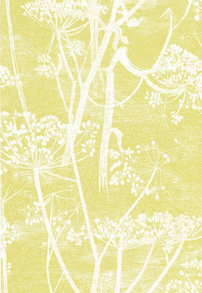 Cole & Son Wallpaper 66/7051.CS Cow Parsley White/Y