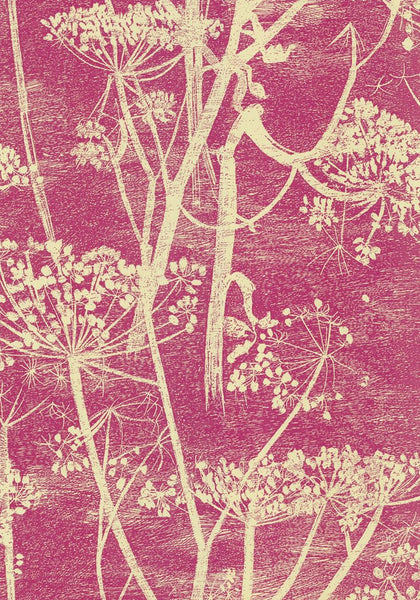 Cole & Son Wallpaper 66/7052.CS Cow Parsley Cream/P