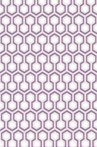 Cole & Son Wallpaper 66/8053.CS Hicks' Hexagon Pink/Gr