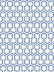 Cole & Son Wallpaper 66/8054.CS Hicks' Hexagon Blue/Gr