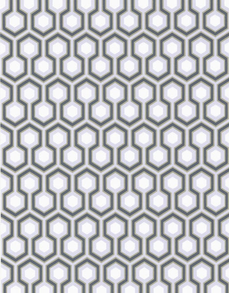 Cole & Son Wallpaper 66/8055.CS Hicks' Hexagon Sage/Gr