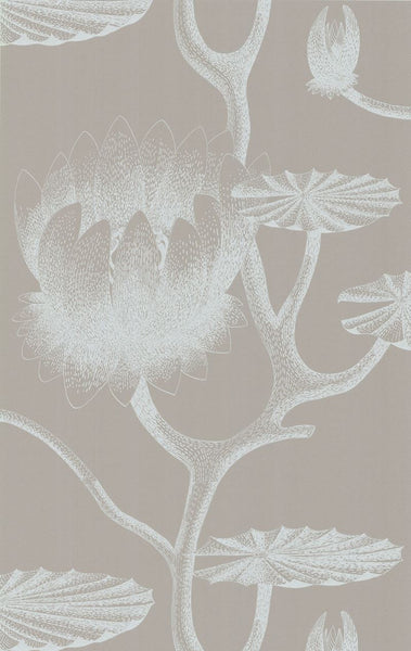 Cole & Son Wallpaper 69/3110.CS Lily White/Grey