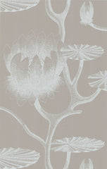 Cole & Son Wallpaper 69/3110.CS Lily White/Grey