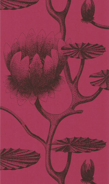 Cole & Son Wallpaper 69/3111.CS Lily Onyx/Merlot