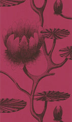 Cole & Son Wallpaper 69/3111.CS Lily Onyx/Merlot