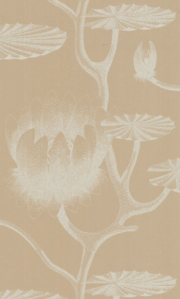 Cole & Son Wallpaper 69/3113.CS Lily Ivory/Sand