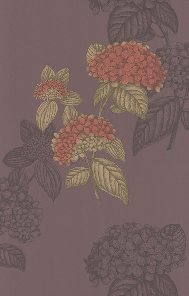 Cole & Son Wallpaper 77/10036.CS Ortensia Grape