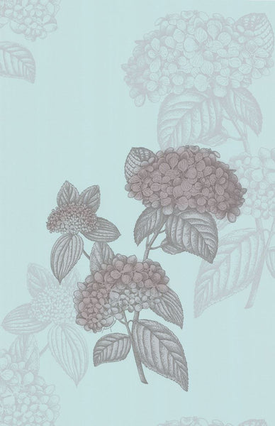 Cole & Son Wallpaper 77/10038.CS Ortensia Blue