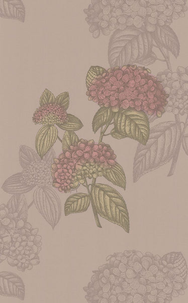 Cole & Son Wallpaper 77/10039.CS Ortensia Tan