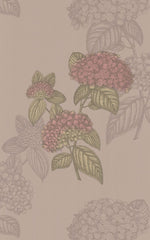 Cole & Son Wallpaper 77/10039.CS Ortensia Tan