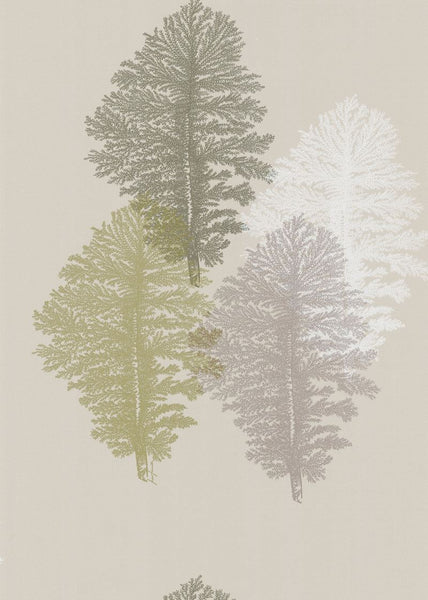 Cole & Son Wallpaper 77/4014.CS Corallo Grey
