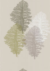 Cole & Son Wallpaper 77/4014.CS Corallo Grey