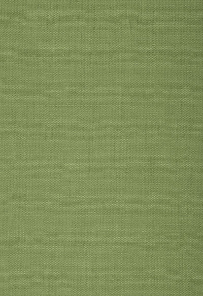 FSchumacher Fabric 79786 Gweneth Linen Ivy
