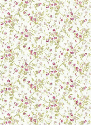 Cole & Son Wallpaper 81/11048.CS Sweet Pea Claret