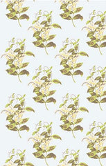 Cole & Son Wallpaper 81/6023.CS Madras Sky