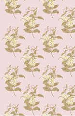 Cole & Son Wallpaper 81/6025.CS Madras Dusty Pink