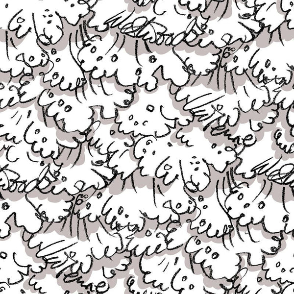 Cole & Son Wallpaper 86/1001.CS Vivienne's Lace Beg/Blk