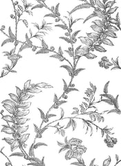 Cole & Son Wallpaper 88/1005.CS Ludlow Ecru