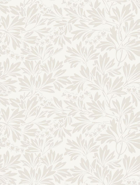 Cole & Son Wallpaper 88/11045.CS Dialytra Ecru