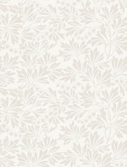 Cole & Son Wallpaper 88/11045.CS Dialytra Ecru
