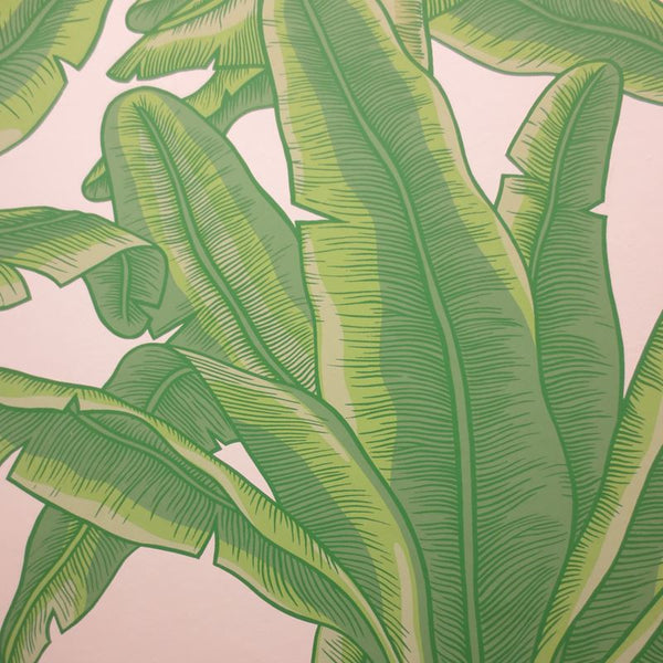 Clarence House Wallpaper 8870-1 Lyford Key Green