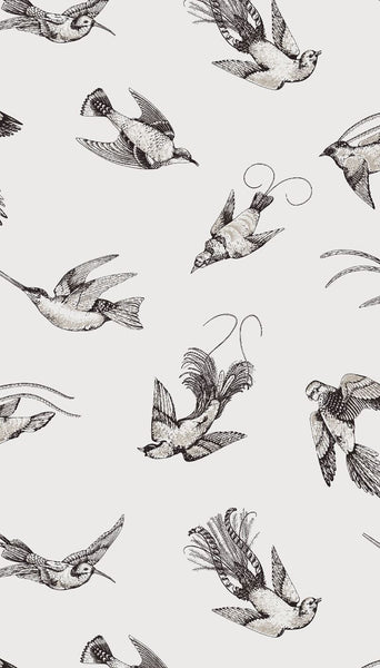 Cole & Son Wallpaper 89/1001.CS Tropical Birds White