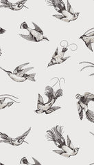 Cole & Son Wallpaper 89/1001.CS Tropical Birds White