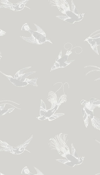 Cole & Son Wallpaper 89/1002.CS Tropical Birds Dove
