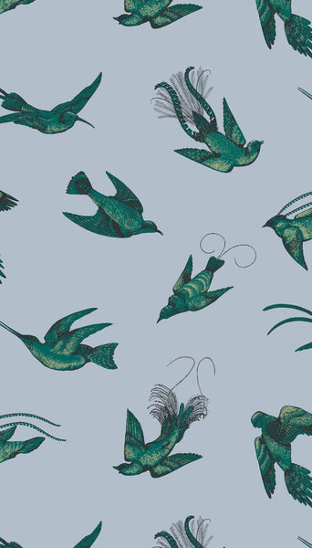 Cole & Son Wallpaper 89/1003.CS Tropical Birds Bleu