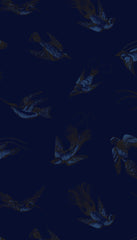 Cole & Son Wallpaper 89/1005.CS Tropical Birds Midnight