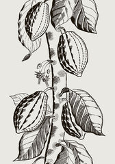 Cole & Son Wallpaper 89/11043.CS Cocoa White