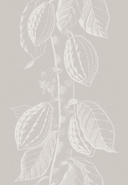 Cole & Son Wallpaper 89/11044.CS Cocoa Dove